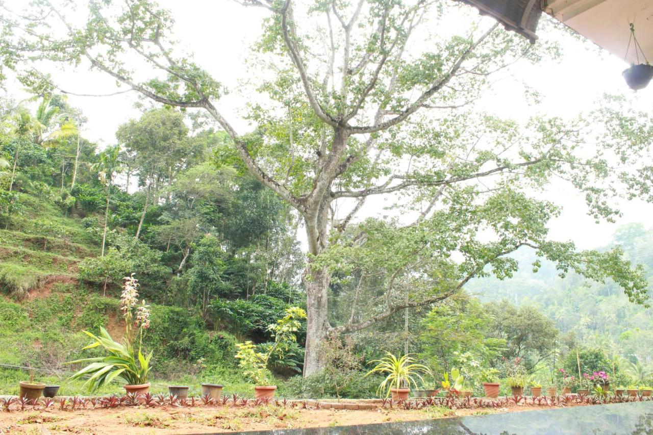 The Mountcourt Hotel Munnar Buitenkant foto